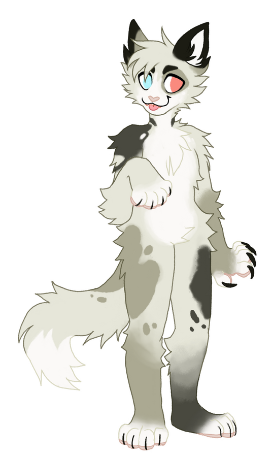OC OWNED BY: NOXICIN